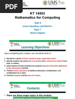 Topic 6 Linear Equations and Matrix Algebra