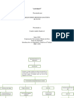 Mapa Conceptual SST