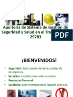 Auditoria Del Sistema de Gestion de SST