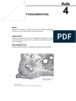 18054816022012morfologia Interna e Externa Dos Vegetais Aula 4 PDF