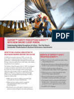 DSS Safety Perception Survey SPS US-11 8 2017