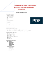 Informe Neuropsicologico