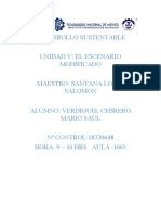 Desarrollo Unidad 5