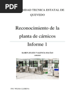 Reconocimiento de La Planta de Carnicos