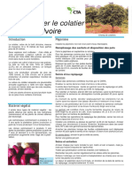 Fiche Technique Du Colatier PDF