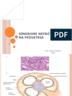 Aula Sindrome Nefrótica 2020