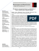 Phosphorus Management Improve Productivity of Wheat Varieties Under Semiarid Climates