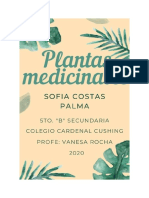 Plantas Medicinales