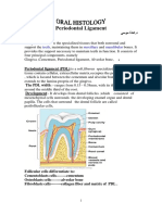 Periodontal Ligament: Teeth Maxillary Mandibular