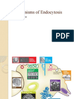 Mechanisms of Endocytosis: An Overview