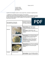 Bioprocesos Informe