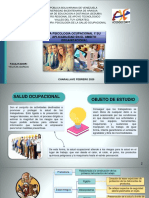 Presentacion Salud Ocupacional PDF