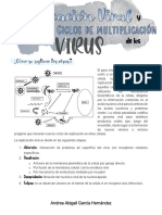 Replicación Viral y Ciclos de Multiplicación de Los Virus PDF