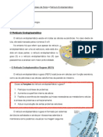 Complexo de Golgi e Retículo Endoplasmático