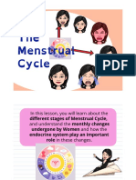 Unit 3 Module 1 The Menstrual Cycle