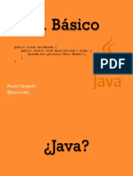 Java Basico PDF