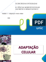 Adaptação e Lesão Celular Aula