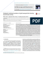 Endogenic Mediated Synthesis of Gold Nanopartic - 2016 - Journal of Microscopy A