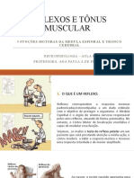 Neurofisiologia Aula 2