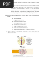 CTS Tarea 03