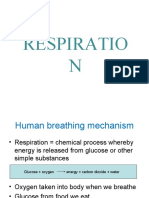 Respiration Form 3