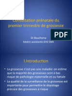 Consultation Prénatale Du 1 - Trimestre de Grossesse