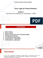 Sesión 5 - Oposición Al Procedimiento de Saneamiento - ORPE