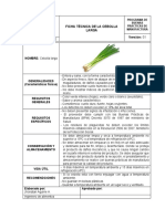 Ficha Técnica - CEBOLLA LARGA