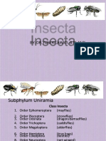 Docshare - Tips Insecta-Yuni