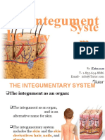 The Integumentary System