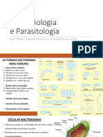 BACTÉRIAS - GRAM+ e GRAM