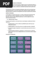 Elaboracion Del Programa de Terminacion