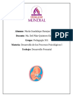 Desarrollo Prenatal