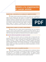 La Homeostasis y La Organización Del Cuerpo Animal