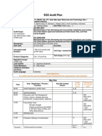 SGS Audit Plan