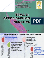 Tema 7 Otros Bacilos Gram Negativo 2017