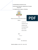 Deber N°6 Planificación Preliminar Holcim