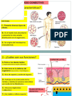 Tejido Conectivo