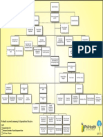 Org Structure PDF