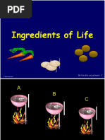 Ingredients of Life: 1 Be Like The Cocoa Beans