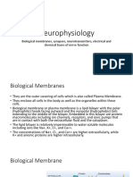 Neurophysiology