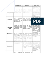 Unidad II, Cuadro Comparativo