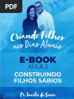 E-Book - Aula 2 - Construindo Filhos Sábios - Criando Filhos Nos Dias Atuais