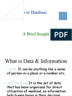 Introduction To Database: A Brief Insight