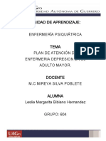 Plan de Atencion Psiquiatria PDF