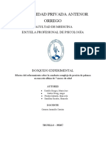 Bosquejo Experimental PDF