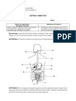 8°A - Ciencias Naturales Sistema Digestivo Guía de Trabajo 06 de Mayo PDF