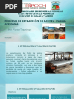 Tenelema - Victor - Proceso de Extracción de Aceites - Palma Africana