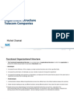 Department Structure Telecom Companies: Michel Chamat