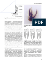 Page 3 PDF